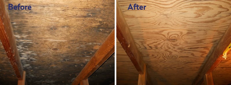 Attic mold remediation dry ice blasting before and after — black mold removed from sheathing